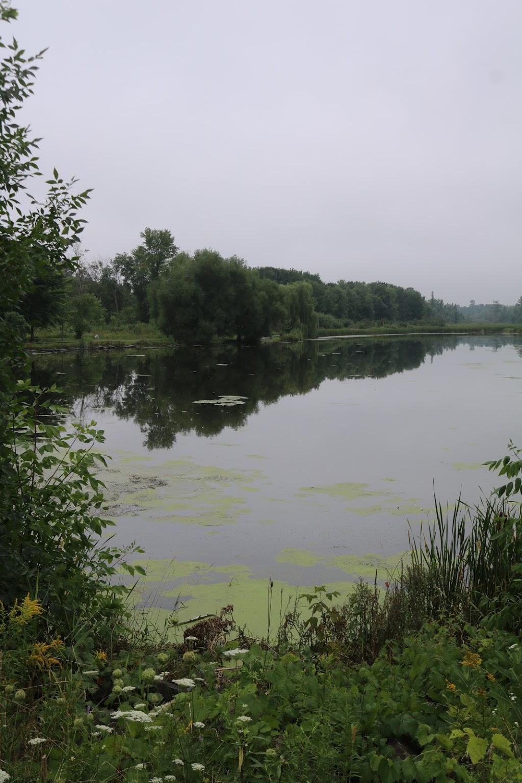 Beaver Pond | Beaver Pond Trail, Kanata, ON K2K, Canada