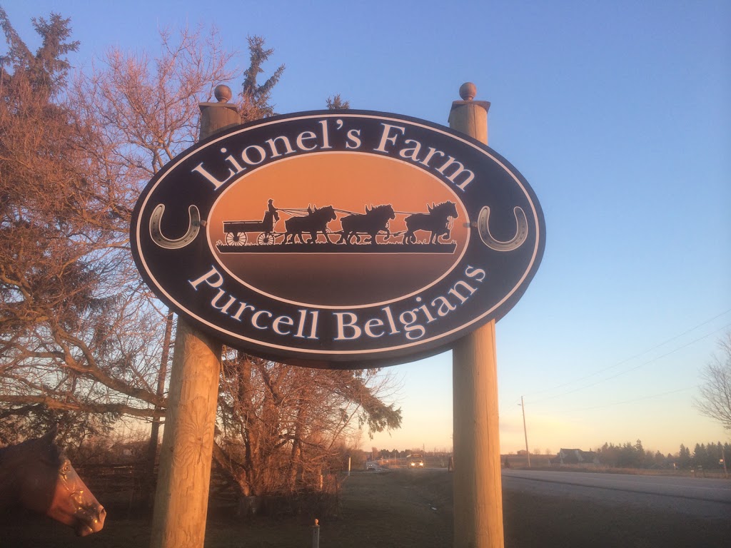 Lionels Farm | 11714 McCowan Rd, Whitchurch-Stouffville, ON L4A 7X5, Canada | Phone: (905) 640-7669