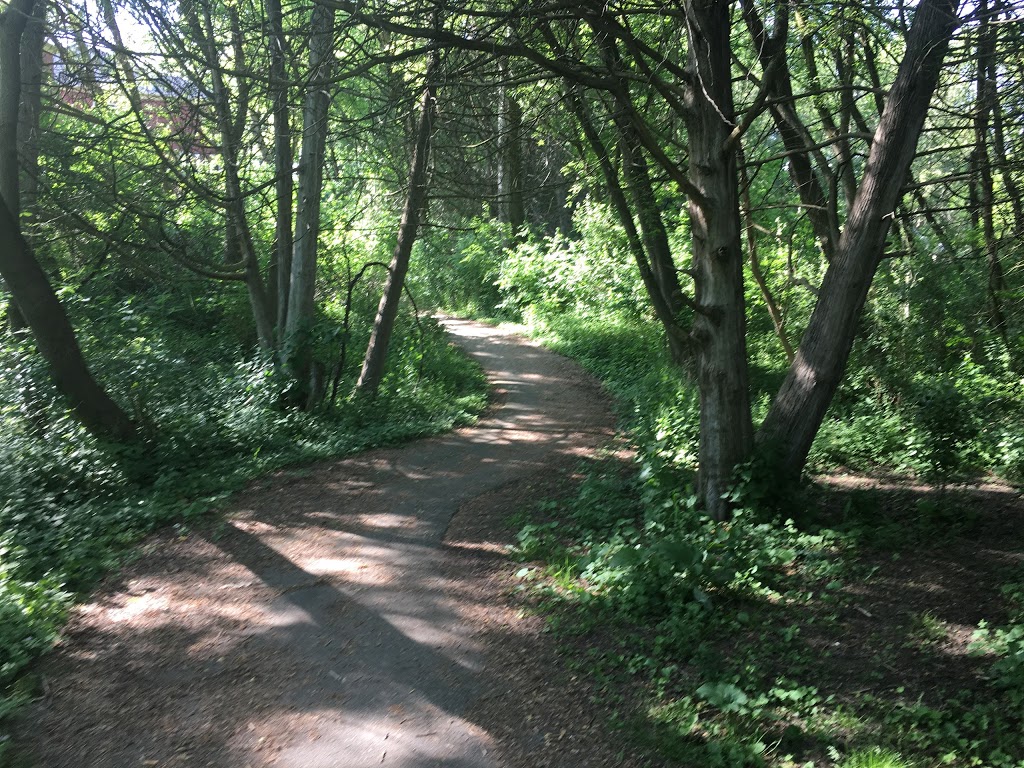 Mill Pond Trail | Richmond Hill, ON L4C 9N7, Canada