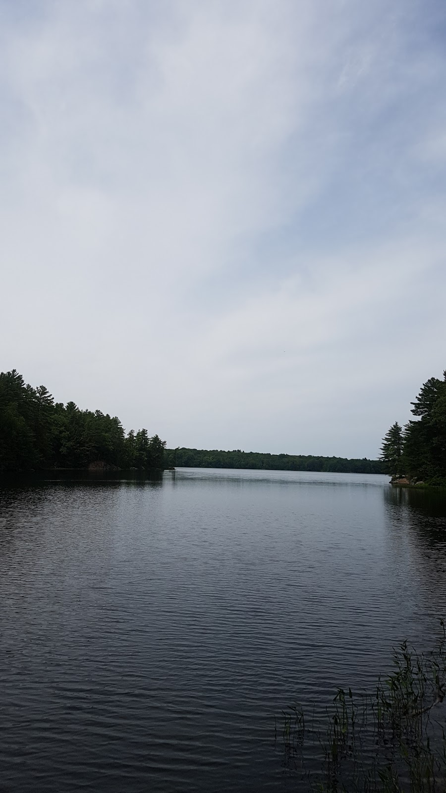 Hardy Lake Trail Head | Muskoka District Road 169, Gravenhurst, ON P1P 1R2, Canada