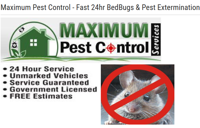 Maximum Pest Control Services. | 96 Kenilworth Ave N, Hamilton, ON L8H 4R5, Canada | Phone: (289) 396-5426