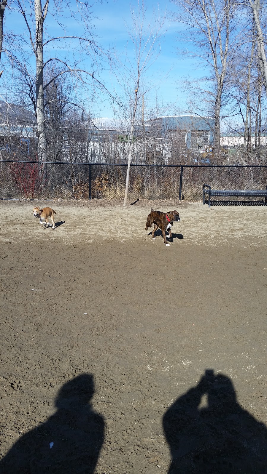 Dog Park | 102 Industrial Pl, Penticton, BC V2A 7C8, Canada