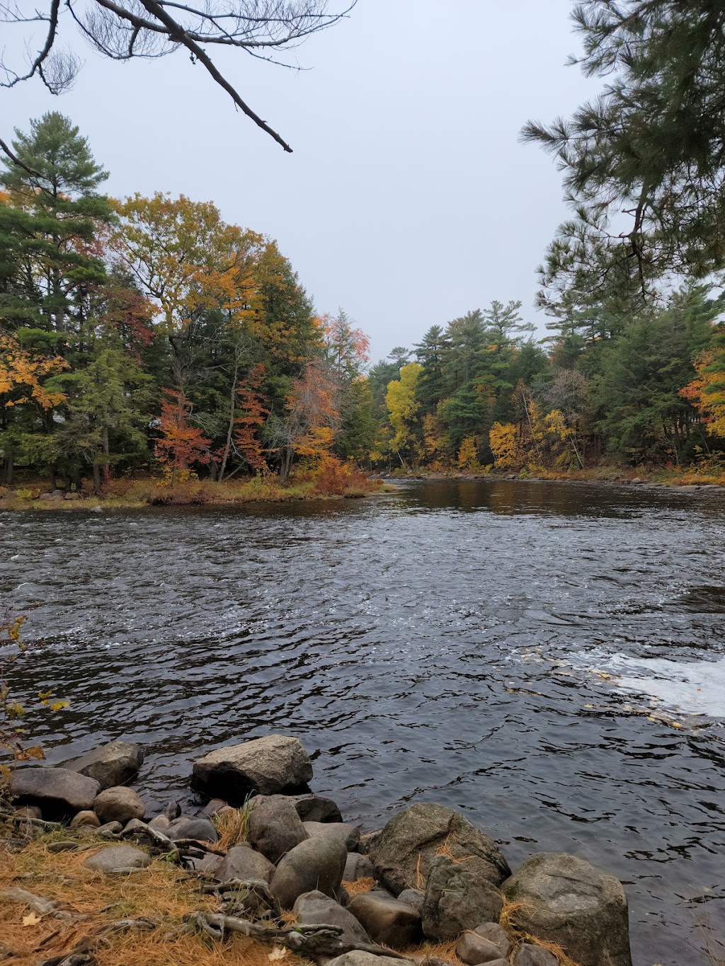 Ile de la grande patate à Blanchard | 282 Rue des Eaux-Vives, Saint-Jérôme, QC J7Y 4N9, Canada | Phone: (450) 626-8775