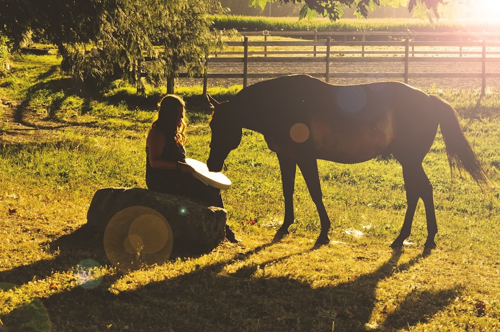 Four Horse Healing | 10885 McDonald Rd, Chilliwack, BC V2P 6H5, Canada | Phone: (604) 997-5032