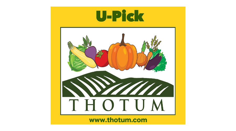 Thotum - UPick Vegetables in Winnipeg | 1660 St Annes Rd, Winnipeg, MB R2N 4K7, Canada | Phone: (204) 453-8859