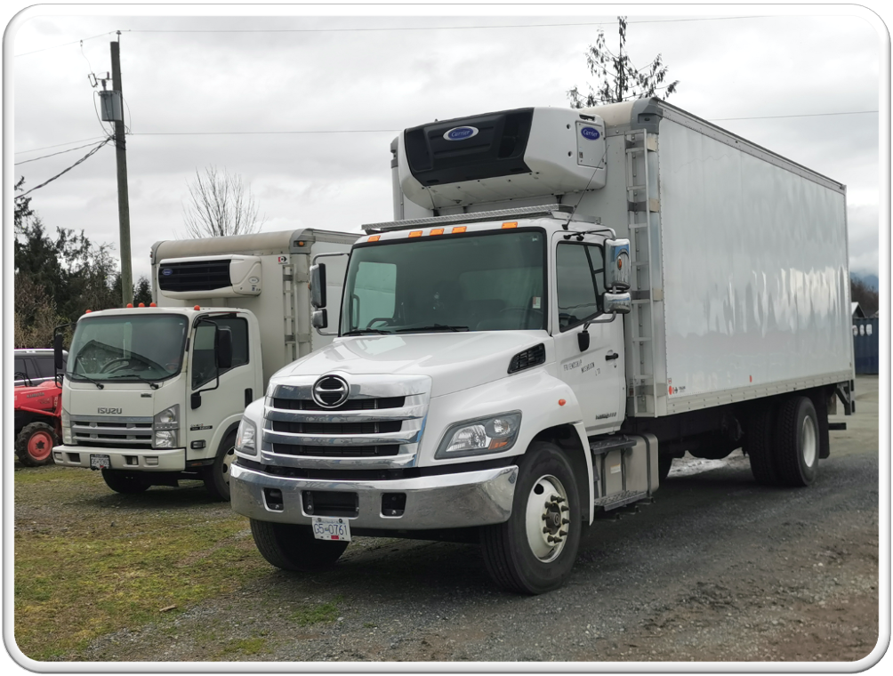 Friendship Specialty Mushroom Farm | 8110 Upper Prairie Rd, Chilliwack, BC V2P 6H3, Canada | Phone: (778) 389-1818