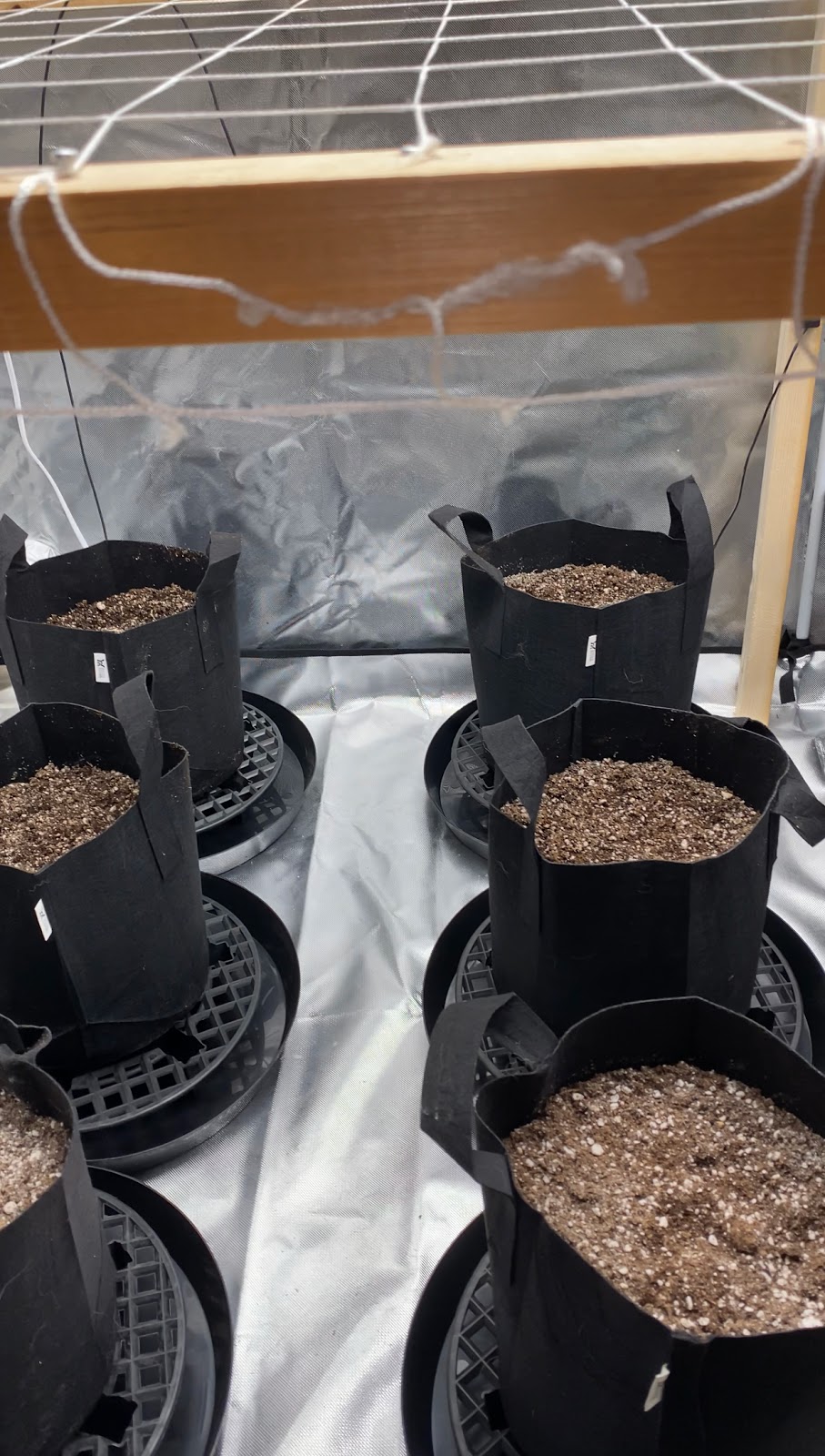 The Grow Depot | 1040 Martin Grove Rd Unit 11, Etobicoke, ON M9W 4W4, Canada | Phone: (647) 748-4769