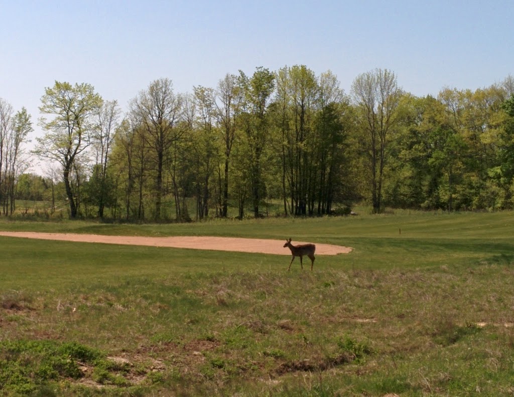 Woodview Golf Course | 65 Northeys Bay Rd, Woodview, ON K0L 3E0, Canada | Phone: (705) 654-5000