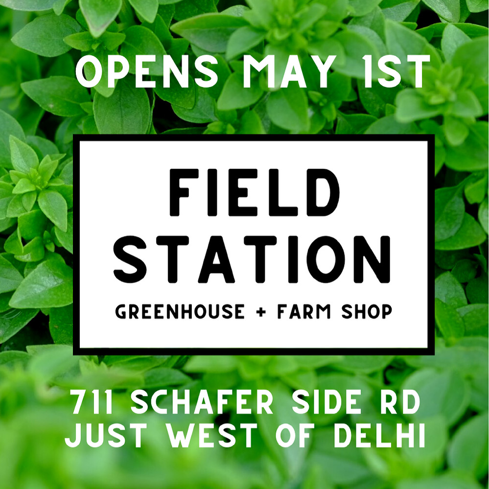 Field Station Greenhouse & Farm Shop | 695 Schafer Side Rd, Delhi, ON N4B 2W6, Canada | Phone: (647) 448-4826