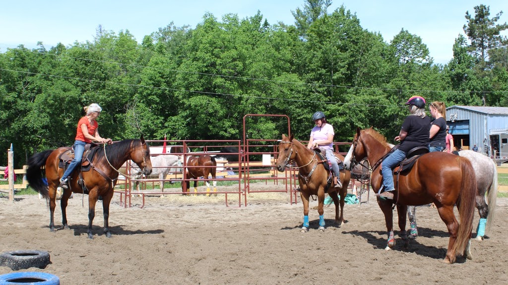 Villeneuve Ranch | 327 La Cloche Lake Rd, Massey, ON P0P 1P0, Canada | Phone: (705) 869-8852