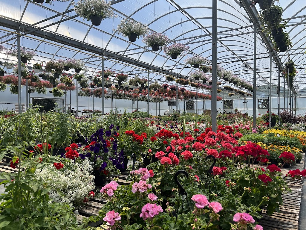 Andrew’s Greenhouse | 2587 Cockshutt Rd, Waterford, ON N0E 1Y0, Canada | Phone: (437) 335-3495