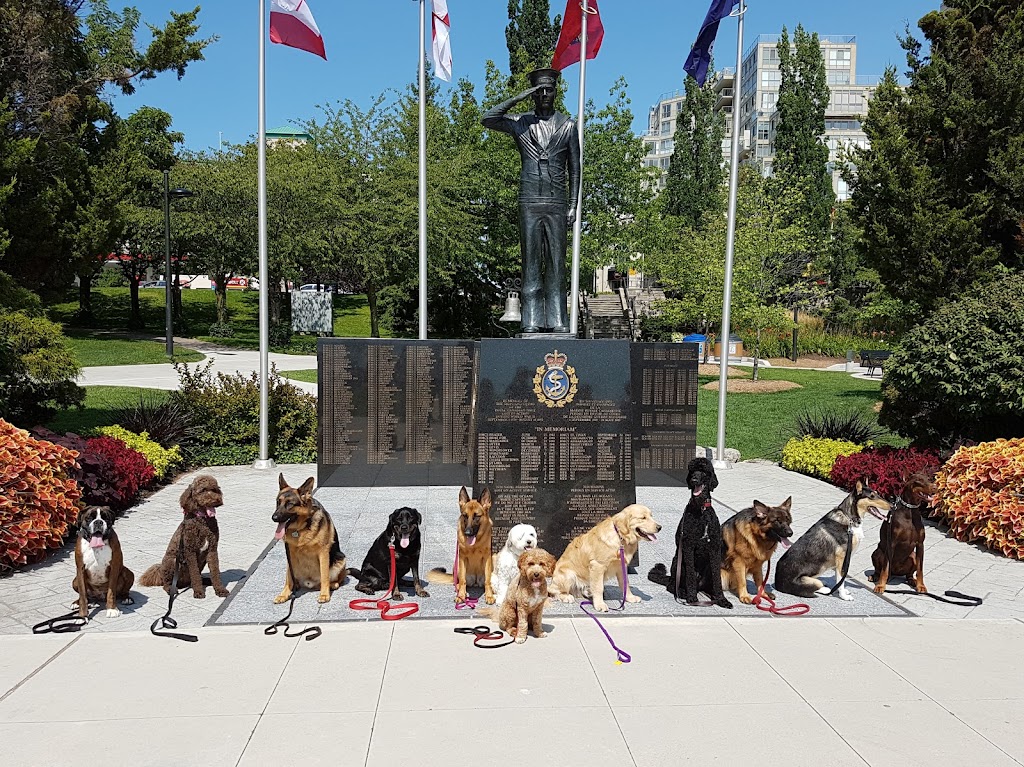 Canine Balance Training | 2487 Industrial St Unit 4 & 5, Burlington, ON L7P 1A6, Canada | Phone: (905) 465-5837