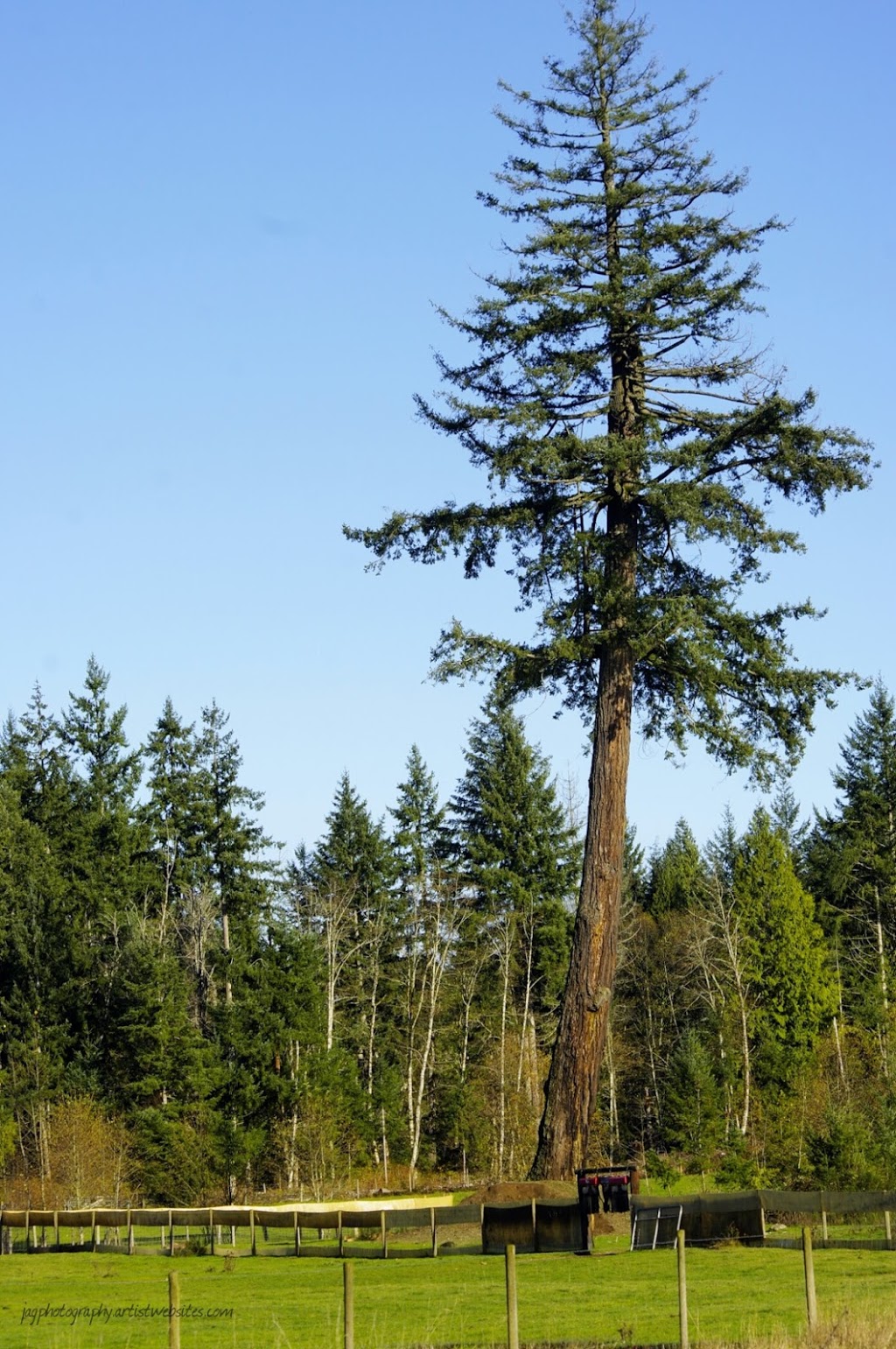 Morning Star Bison Ranch. Ranch Tours. Meat Sales | 965 Spruston Rd, Nanaimo, BC V9X 1S9, Canada | Phone: (250) 713-3111