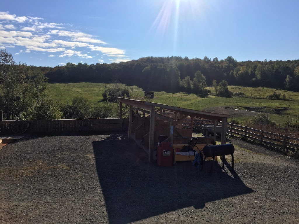 Ranch thérapeutique cheval de soie | 580 Chemin du Sanctuaire, Sherbrooke, QC J1H 0E1, Canada | Phone: (819) 620-3377