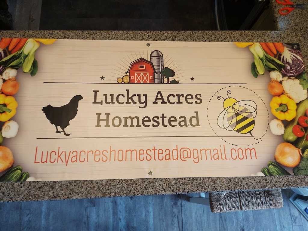 Lucky Acres Homestead | 540 W Halls Harbour Rd, Centreville, NS B0P 1J0, Canada | Phone: (902) 698-9123