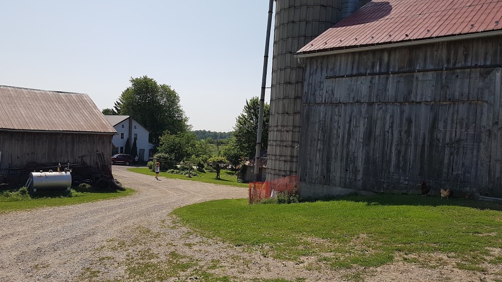 Orange Blossom Farm | 1290 Martin Creek Rd, Waterloo, ON N2J 3Z4, Canada | Phone: (519) 664-1237