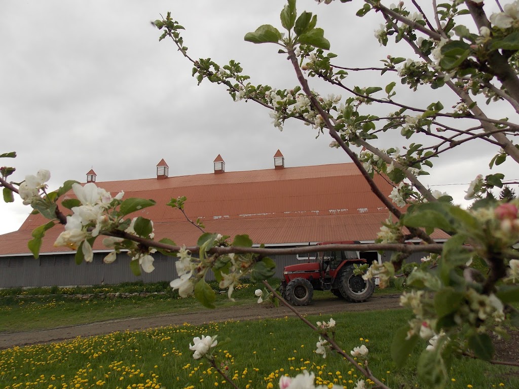 Ferme Claunik | 30 Rue St Joseph S, Rivière-Bleue, QC G0L 2B0, Canada | Phone: (418) 893-2716