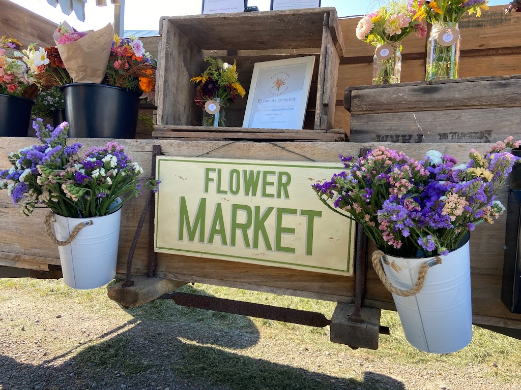 Meadowlark Flower Farm | 3059 Durham Regional Hwy 2, Clarington, ON L1C 3K5, Canada | Phone: (905) 431-6248