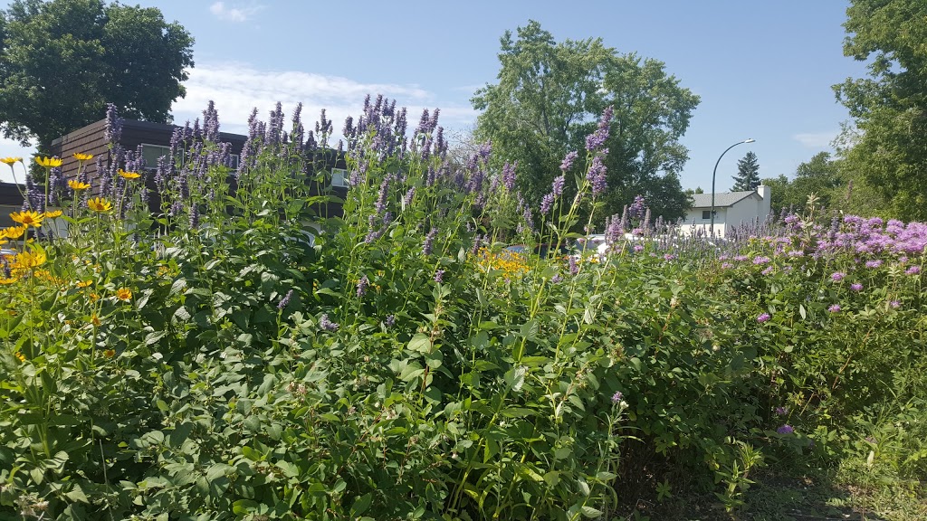 Living Prairie Museum/Park | 2795 Ness Avenue, Winnipeg, MB R3J 3S4 Ness Ave, Winnipeg, MB R3J 3S4, Canada | Phone: (204) 832-0167