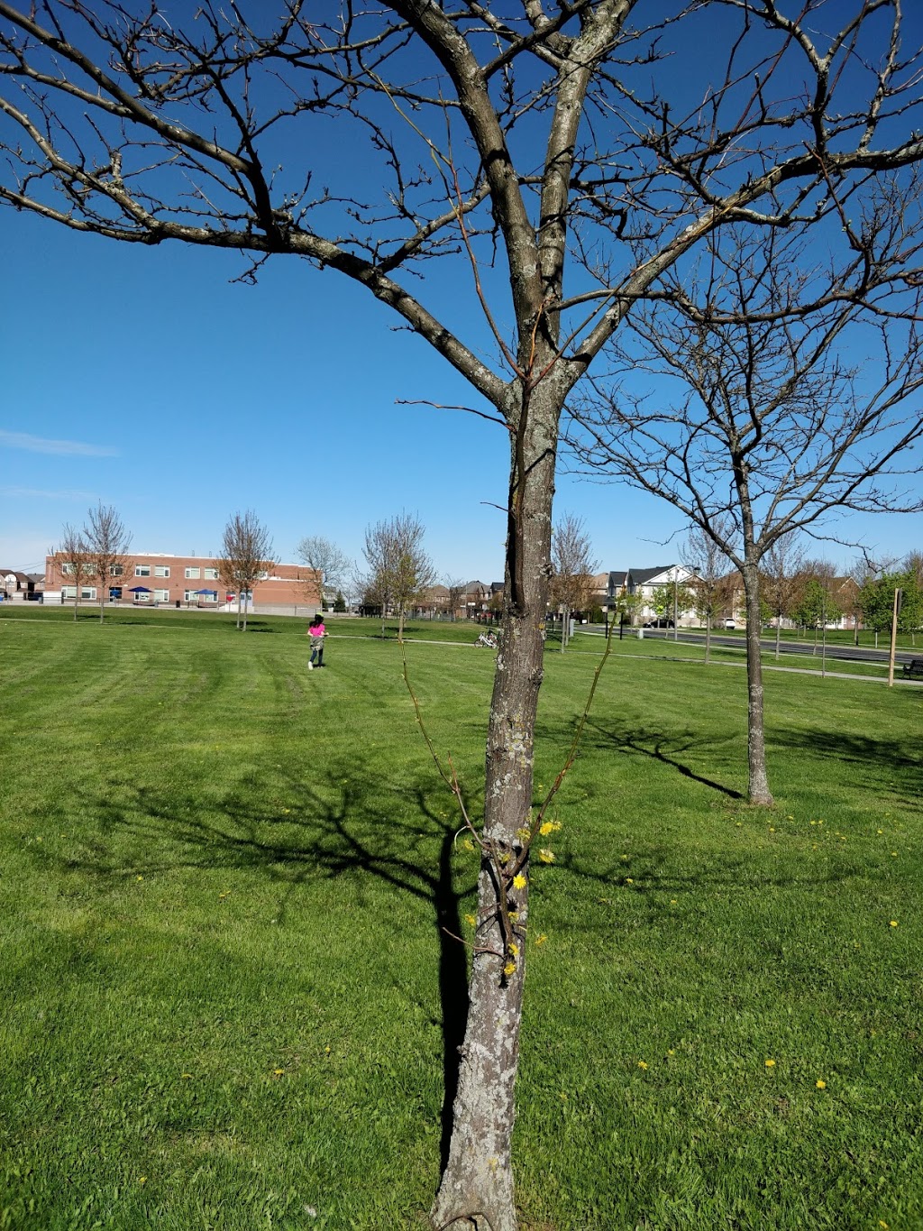 Frederick Bagg Park | Castlemore Ave, Markham, ON L6C 2B3, Canada