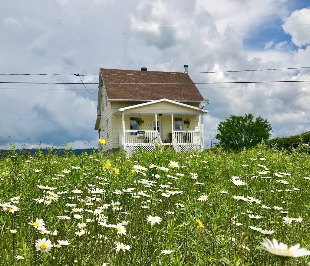 La Maison de Jeanne | 235 Chemin Lejeune, Trois-Rives, QC G0X 2C0, Canada | Phone: (819) 668-7837