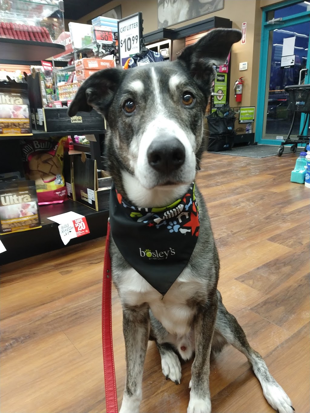 Bosleys by Pet Valu | 5263 Ladner Trunk Rd Unit D, Ladner, BC V4K 1W4, Canada | Phone: (604) 946-1211