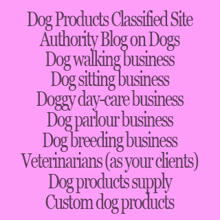 Dog Business Ideas | 94 Osborn Ave, Brantford, ON N3T 6R3, Canada | Phone: (226) 922-9873