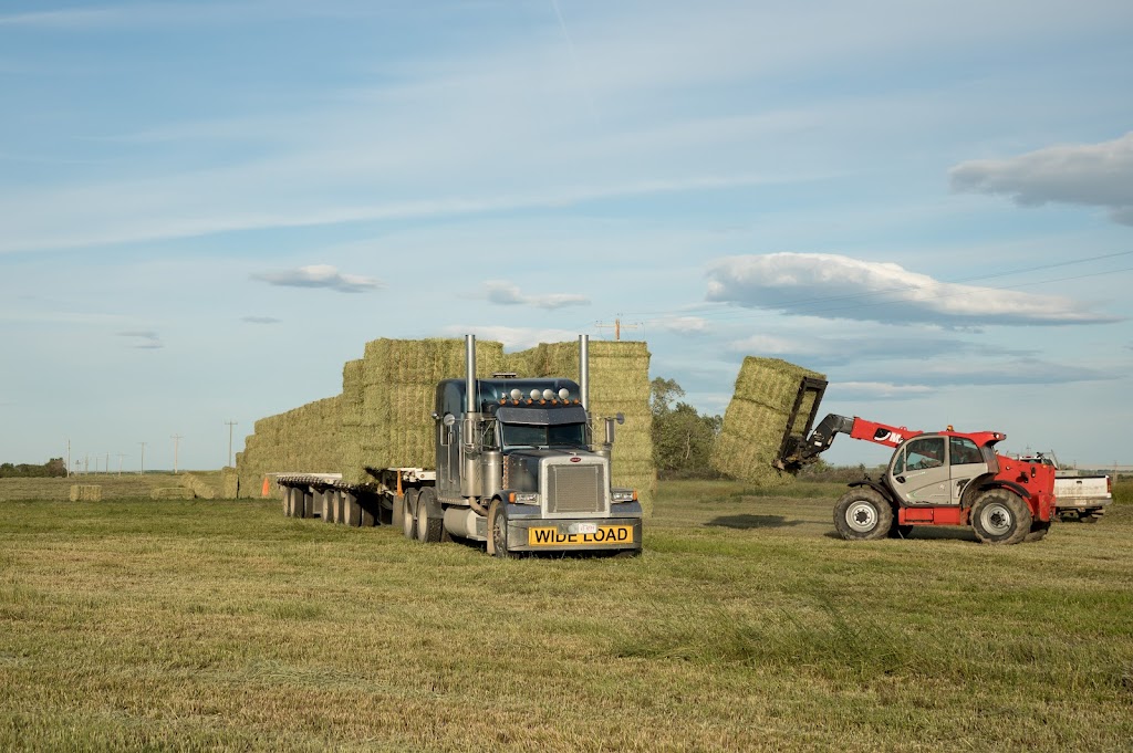 Boot Hay Farms Ltd | 85034 RR245, Monarch, AB T0L 1M0, Canada | Phone: (403) 330-3027