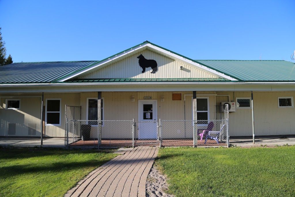 4 Paws Pet Resort Inc | 82 Zack Rd, Berry Mills, NB E1G 2T8, Canada | Phone: (506) 855-7297