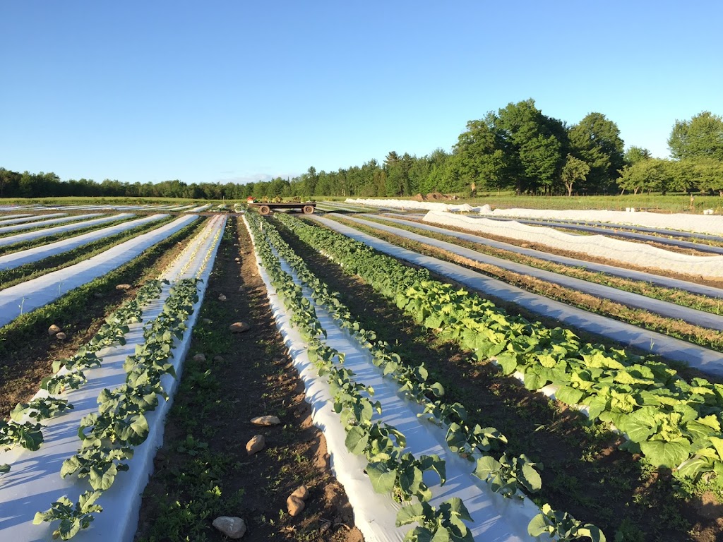 Ferme ChâteauBar | 619 Chem. CastleBar, Danville, QC J0A 1A0, Canada | Phone: (514) 994-5064