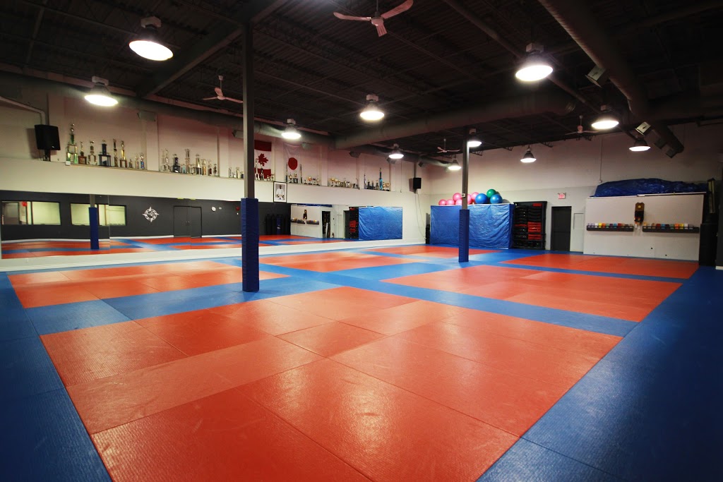 Academy Pro-Style Martial Arts | 101 Schneider Rd, Kanata, ON K2K 1Y3, Canada | Phone: (613) 599-5959