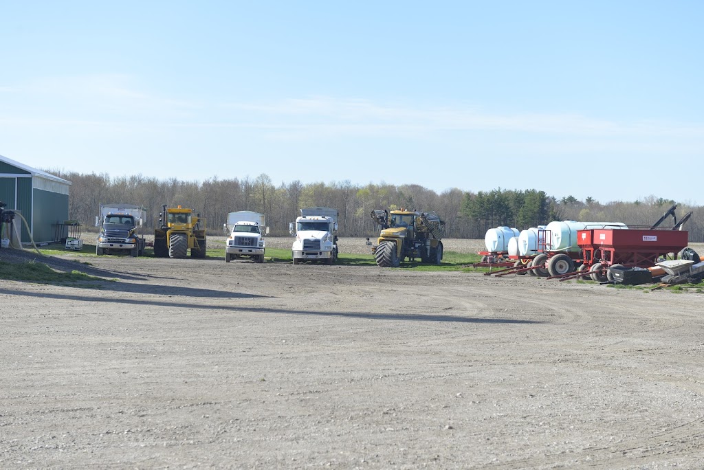 Hensall Co-op Alymer Crops | 47845 Talbot Line, Aylmer, ON N5H 2R6, Canada | Phone: (519) 773-2125