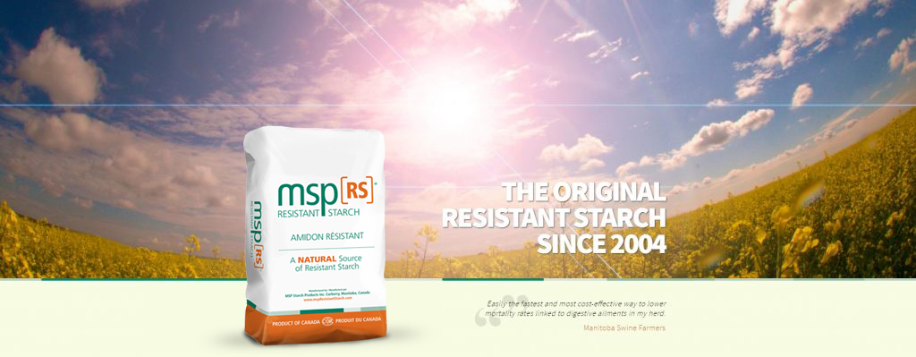 MSP[RS] Resistant Starch | 10 Fredrick St, Carberry, MB R0K 0H0, Canada | Phone: (844) 834-2702