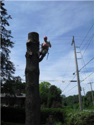 Arboriculture Lapointe | 271 Rue Montcalm, Saint-Colomban, QC J5K 2N3, Canada | Phone: (450) 602-4386