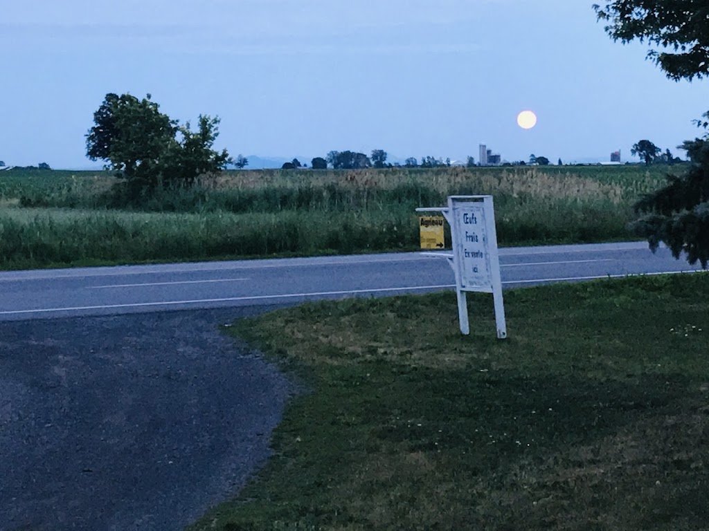 Ferme Bouffe-Or | 234 QC-133, Sabrevois, QC J0J 2G0, Canada | Phone: (450) 358-2788