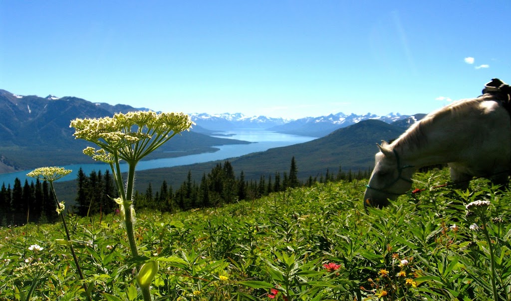 Tsylos Park Lodge & Adventures | Chilko Lake, Cariboo, BC V0L 1W0, Canada | Phone: (250) 483-4368