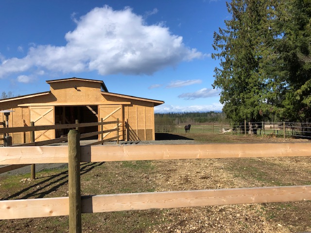 Emerald Acres Horse Boarding | 2517 Alberni Hwy, Coombs, BC V0R 1M0, Canada | Phone: (250) 228-8387