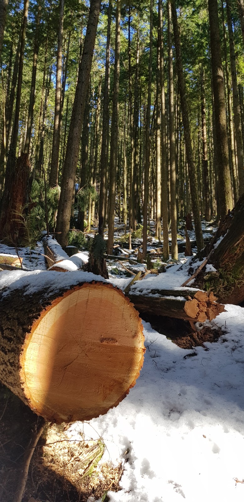 Alouette Mountain Trailhead | Mike Lake Rd, Maple Ridge, BC V0M, Canada