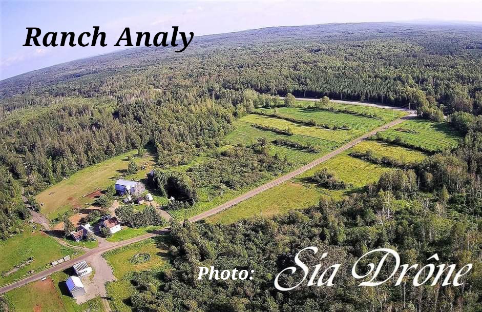 Ranch Analy | 14 rang 5 Est, Saint-François-Xavier-de-Viger, QC G0L 3C0, Canada | Phone: (418) 860-8854