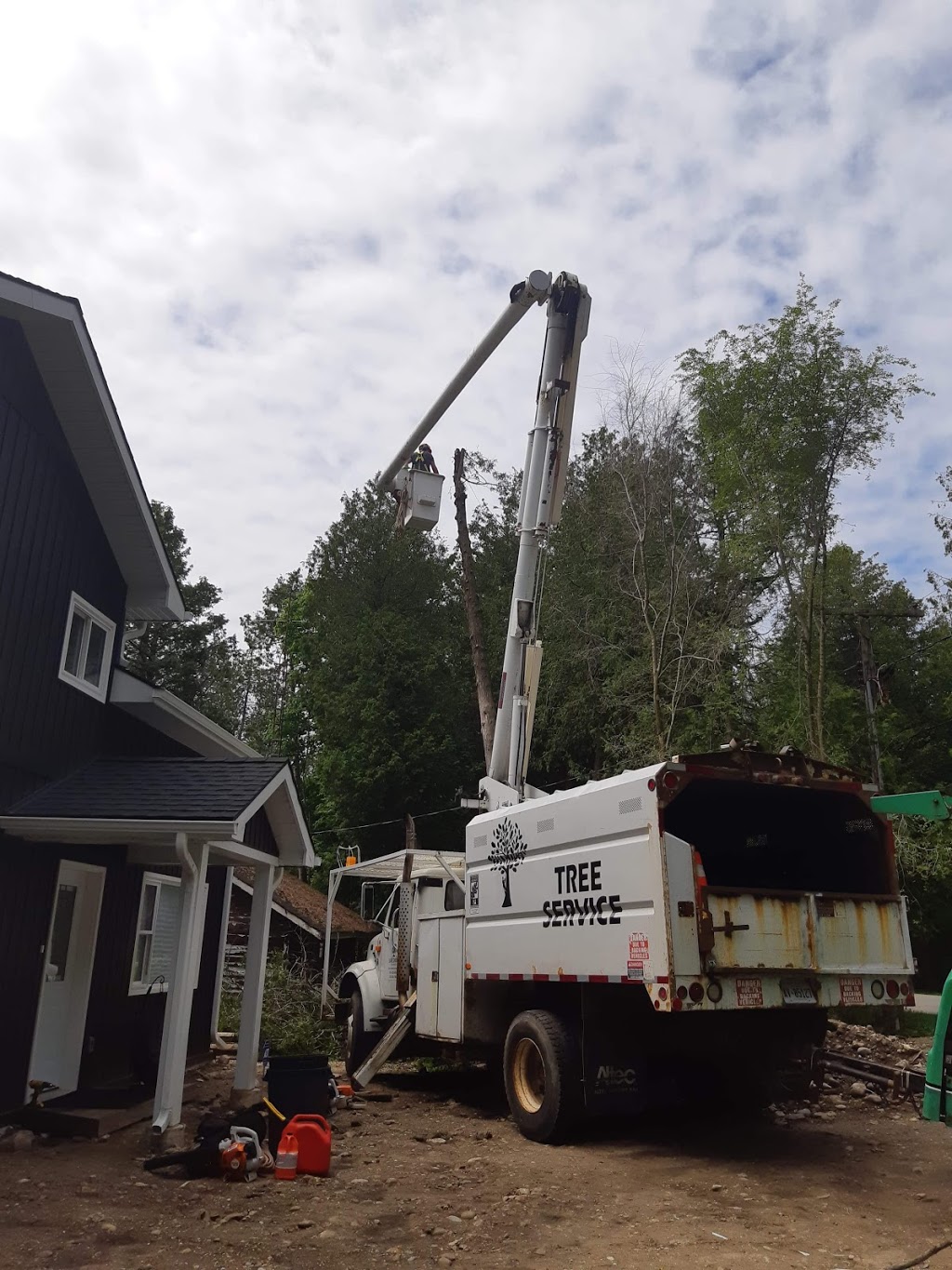 Lakeshore Tree Service | 281 Summerside Pl, Port Elgin, ON N0H 2C2, Canada | Phone: (519) 368-7893