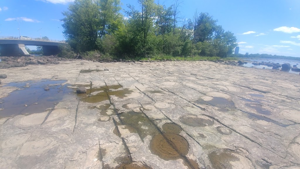 Stromatolites | Sentier des Voyageurs, Gatineau, QC J9H 7K9, Canada