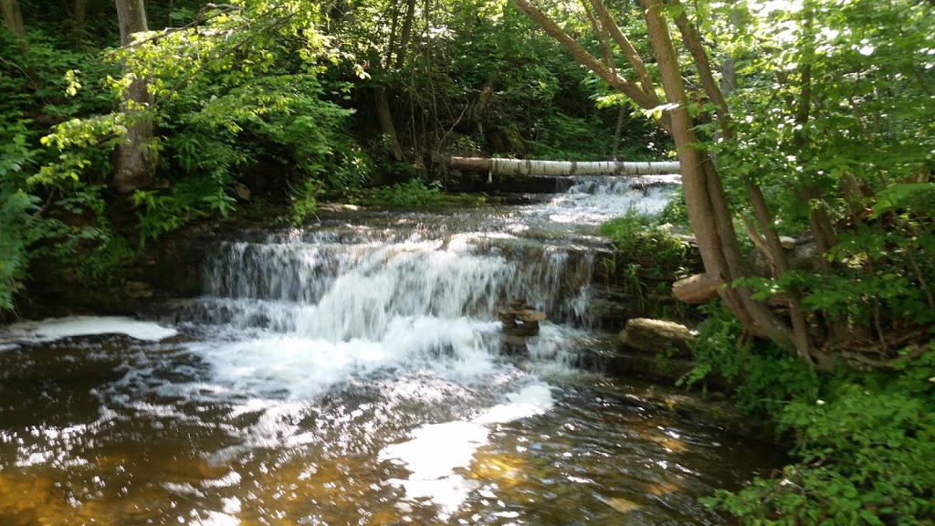 Silver Creek Conservation Area | Fallbrook Trail & Side Rd 27, Halton Hills, ON L7G 4S4, Canada | Phone: (800) 367-0890