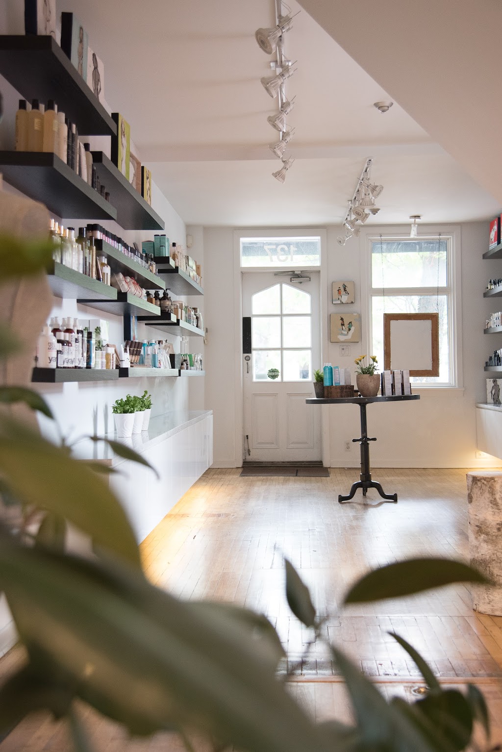 Oresta organic skin care gallery | 137 Beechwood Ave, Ottawa, ON K1M 1L4, Canada | Phone: (613) 695-0137