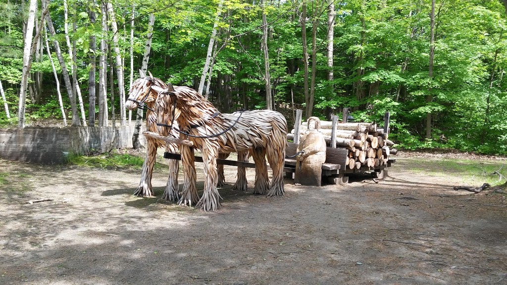 Parc régional de la Rivière-du-Nord (Chutes Wilson) | 750 Chemin de la Rivière du N, Saint-Jérôme, QC J7Y 5G2, Canada | Phone: (450) 431-1676