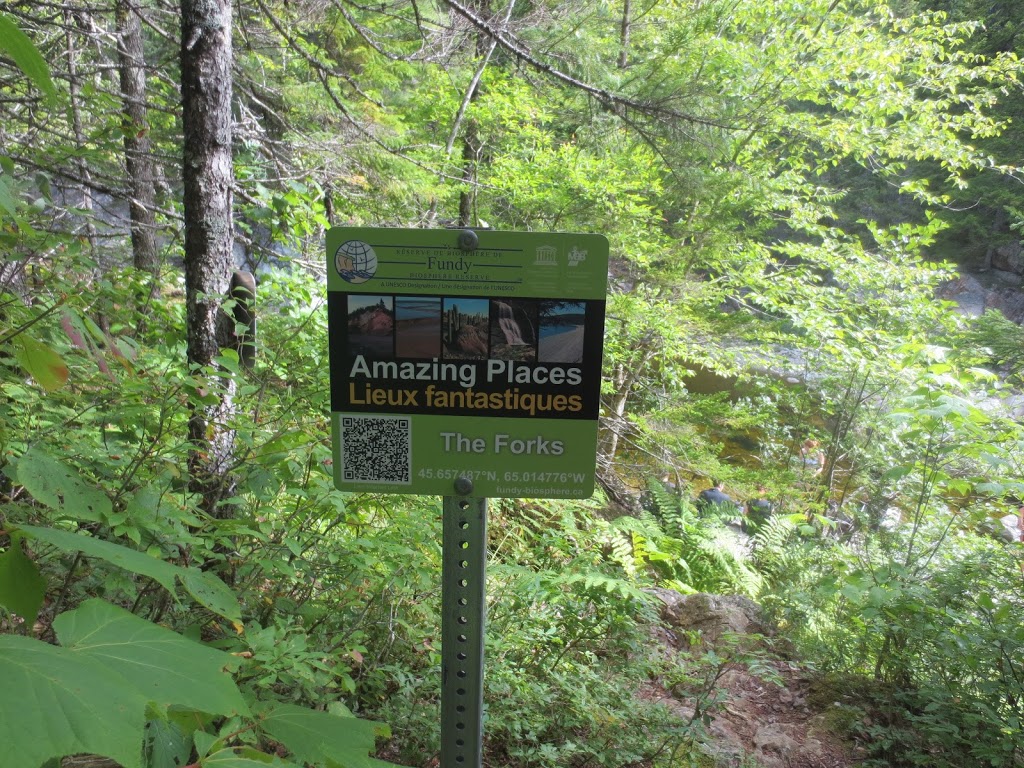 The Forks - UNESCO Fundy Biosphere Reserve Amazing Place | Alma Parish, NB E4H, Canada | Phone: (506) 874-3272