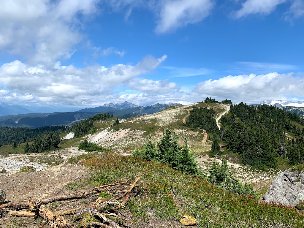 Brohm Ridge Chalet | Squamish-Lillooet D, BC V8B 0P6, Canada
