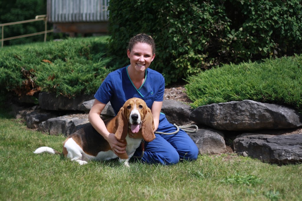 Gull River Veterinary Services | 6826 ON-35, Coboconk, ON K0M 1K0, Canada | Phone: (705) 454-1664