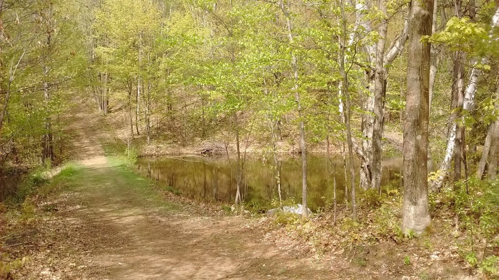 Abbaye Val Notre-Dame | 250 Chemin de la Montagne-Coupée, Saint-Jean-de-Matha, QC J0K 2S0, Canada | Phone: (450) 960-2889