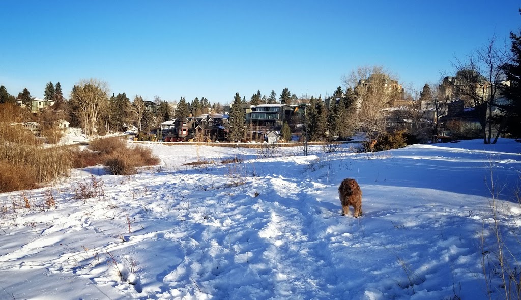 West Hillhurst off-leash area WHL-001 | 1025 19 St NW, Calgary, AB T2N 3V6 19 St NW, Calgary, AB T2N 3V6, Canada