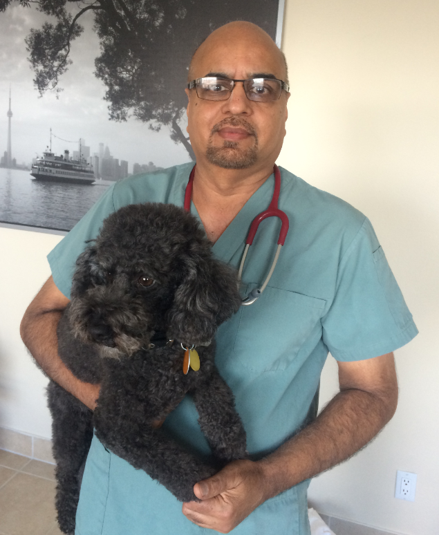 Rexdale Animal Hospital | 843 Albion Rd, Etobicoke, ON M9V 1A3, Canada | Phone: (647) 495-7097